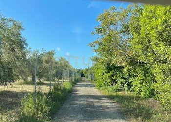 d21115d6-1a78-4876-ae6a-45dc0ad3870e - Rustic Via Antonio Meucci, Grosseto - photo 18