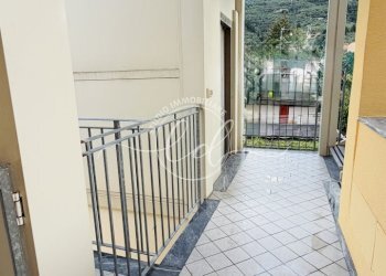 IMG_1882 - Appartamento Pietrasanta - foto 2