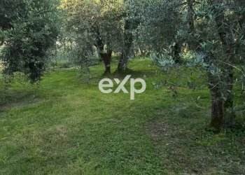 Terratetto - Terracielo località Poggiola, Arezzo - foto 43
