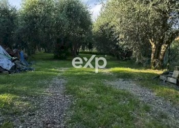 Terratetto - Terracielo località Poggiola, Arezzo - foto 44