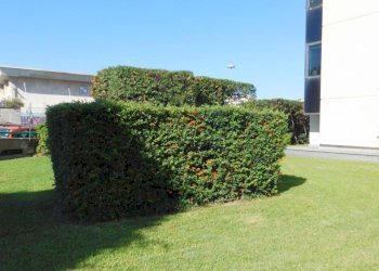 Appartamento Savona (zona Oltreletimbro) - foto 24