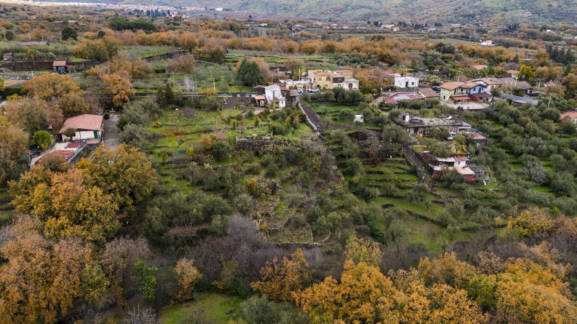 Vista delle montagne - Casa semi indipendente Contrada Sciarelle
15, Piedimonte Etneo - foto 3