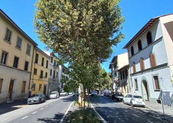 Foto 14 - Appartamento Viale Raffaello Sanzio
 
27, Firenze - foto 14
