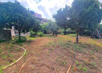 Foto 6 - Appartamento Piazza Massa, Calice Ligure - foto 6