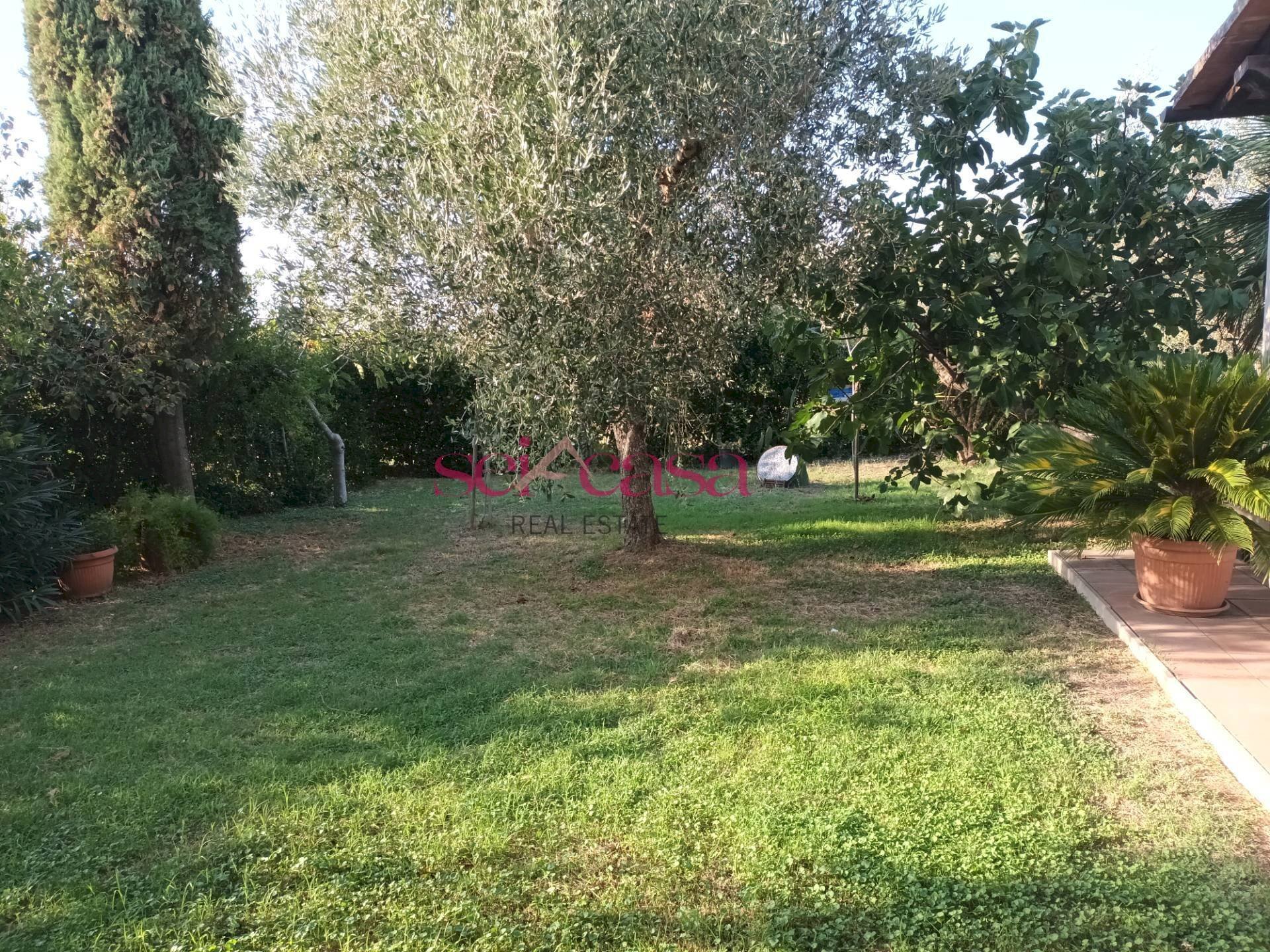 Foto 3 - Rustico Grosseto - foto 3
