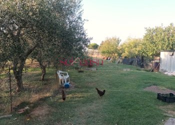 Foto 29 - Rustico Grosseto - foto 29