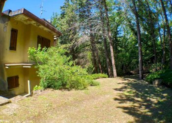 3villapetroio - Villa Londa - foto 2