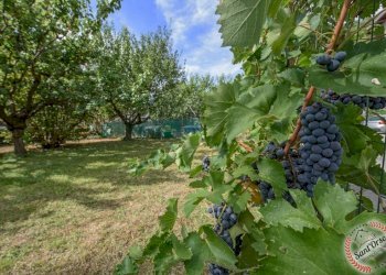 Appartamento REGIONE RIONDA n.7, Aosta - foto 5