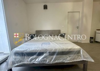 Monolocale Bologna (zona Borgo Panigale) - foto 6