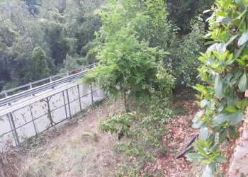 Monolocale Borghetto di Vara, SP, Borghetto di Vara - foto 6