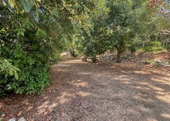 Foto 44 - Villa casteldelmonte, Acquasparta - photo 44