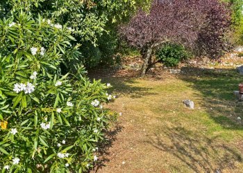 Foto 48 - Villa casteldelmonte, Acquasparta - photo 48