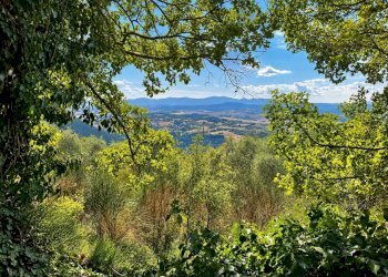 Foto 49 - Villa casteldelmonte, Acquasparta - photo 49