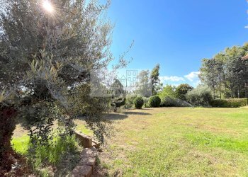 Foto 45 - Appartamento Sacrofano - foto 45