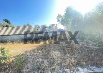 Non correlato - Trilocale Via Doganale
 
14/B, Ciampino - foto 2