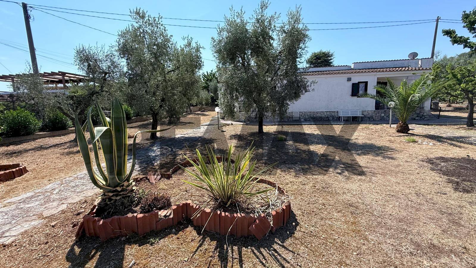 Giardino - Villa a Schiera Località Montincello
snc, Vieste - foto 2
