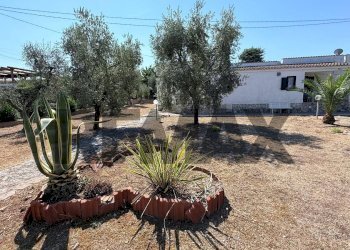 Giardino - Villa a Schiera Località Montincello
 
snc, Vieste - foto 2