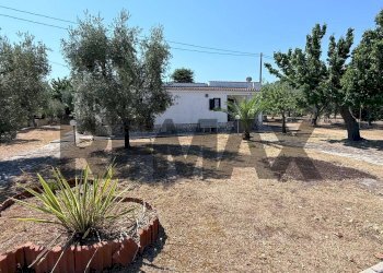 Giardino - Villa a Schiera Località Montincello
 
snc, Vieste - foto 4