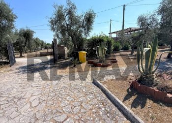 Giardino - Villa a Schiera Località Montincello
 
snc, Vieste - foto 21