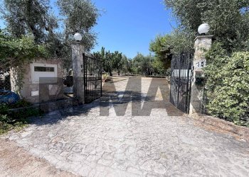Non correlato - Villa a Schiera Località Montincello
 
snc, Vieste - foto 40