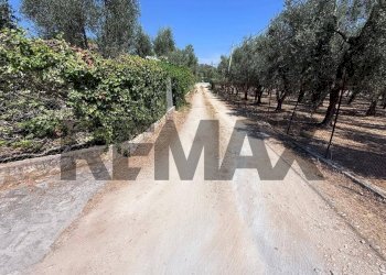 Non correlato - Villa a Schiera Località Montincello
 
snc, Vieste - foto 41
