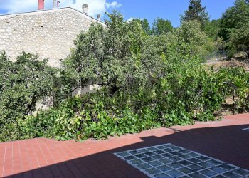 Giardino - Casa indipendente Sangrina
 
127, Ateleta - foto 26