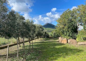 Foto 9 - Appartamento loc  largo monti assari
 
strada 4, Valledoria - foto 9