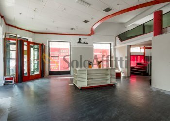DJI_0936.jpg - Commercial Premises Corso Peschiera, Torino (neighborhood Cenisia) - photo 13