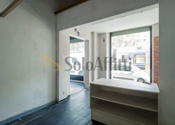DJI_0941.jpg - Commercial Premises Corso Peschiera, Torino (neighborhood Cenisia) - photo 16