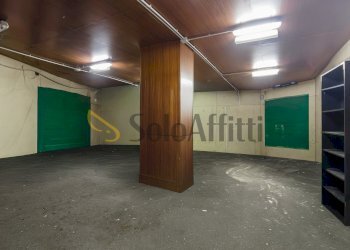 DJI_0964.jpg - Commercial Premises Corso Peschiera, Torino (neighborhood Cenisia) - photo 26