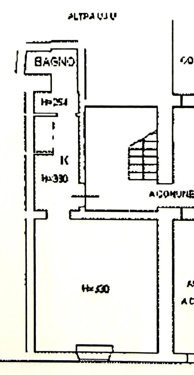 Planiemtria.jpeg - One-room apartment Via Francesco Domenico Guerrazzi, Firenze - floor plans 1