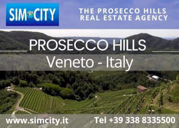 Apartment Vittorio Veneto - photo 36