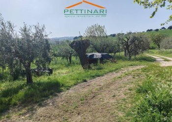 Foto 6 - Rustico Contrada Chiarino, Recanati - foto 6