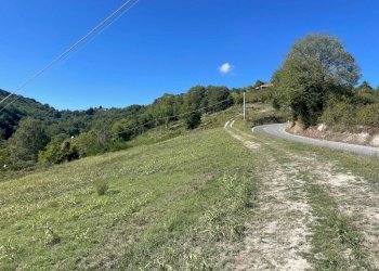 Terreno - Terreno edificabile via Bardassano, Pavarolo - foto 4