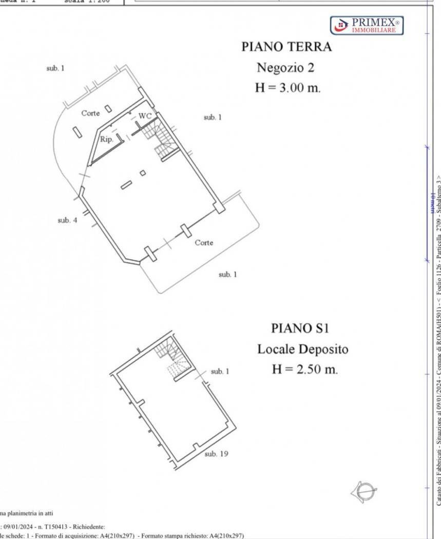 Negozio viale Gianluigi Bonelli, Roma (zona Mezzocammino) - planimetria 1