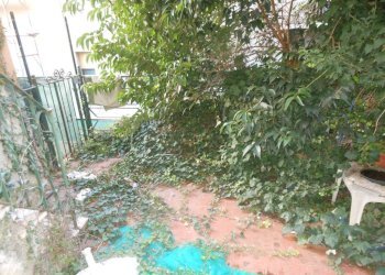 Giardino - Appartamento all'asta via Borgoratti, 65, Genova (zona Borgoratti) - foto 16