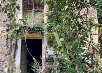 IMG_1360 - Rustico Via Cimavalle 80, Savona - foto 6