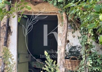 IMG_1362 - Rustico Via Cimavalle 80, Savona - foto 8