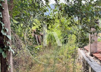 IMG_1358 - Rustico Via Cimavalle 80, Savona - foto 9
