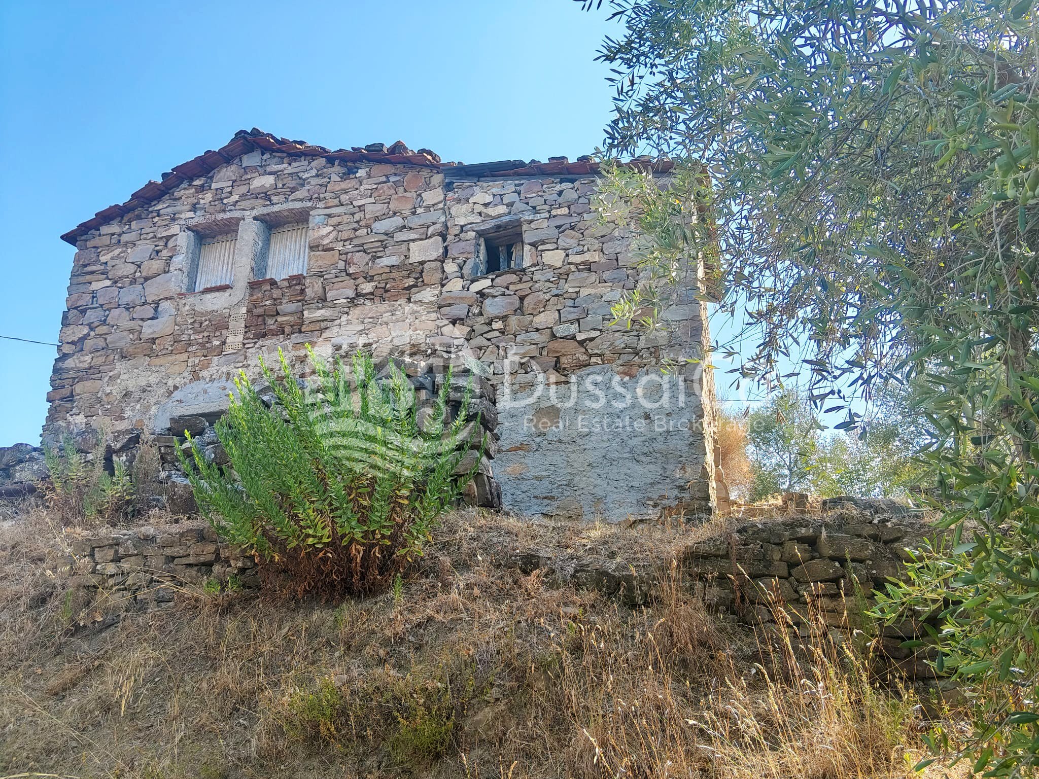 Rustico Strada Vicinale Vagli, snc, Dolceacqua - foto 2