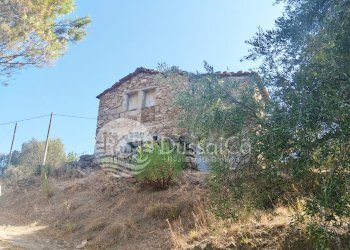 Rustico Strada Vicinale Vagli, snc, Dolceacqua - foto 9