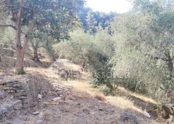 Rustico Strada Vicinale Vagli, snc, Dolceacqua - foto 7