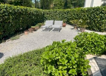 Giardino - Quadrilocale Via di Roncrio, 10, Bologna (zona Colli) - foto 4