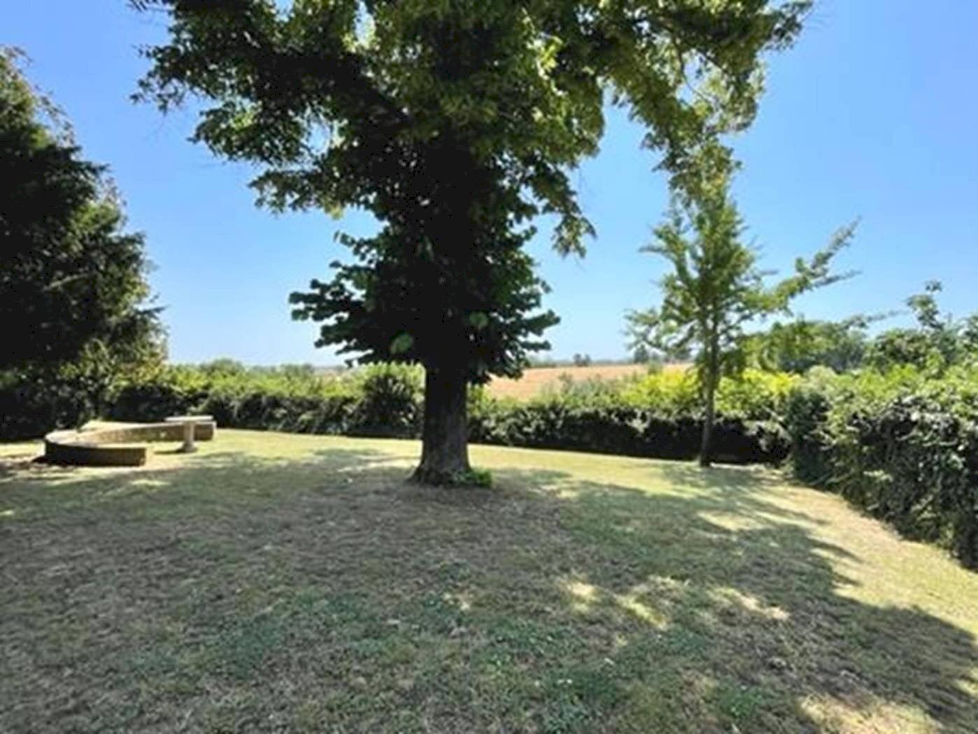 Giardino - Appartamento Via del Pino, 1, Ozzano dell'Emilia - foto 2