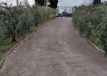 Terreno - Rustico via del Donatore, 25, Montefano - foto 16