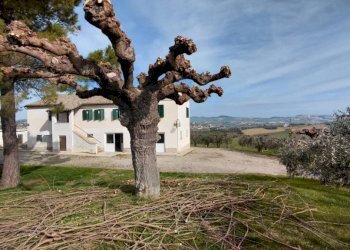 Terreno - Rustico via del Donatore, 25, Montefano - foto 37