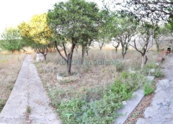 Terreno - Casa indipendente Alessano - foto 32