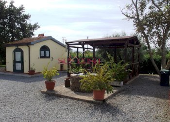 Agriturismo Manciano - foto 6