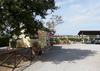 Agriturismo Manciano - foto 10