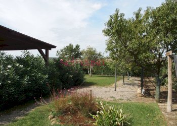 Agriturismo Manciano - foto 12